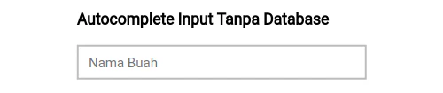 Input dengan css