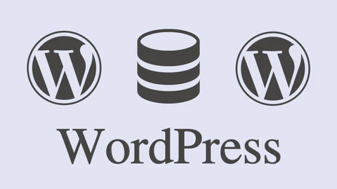 Ilustrasi dua logo WordPress yang terhubung ke satu ikon database di tengah dengan latar belakang abu-abu muda.